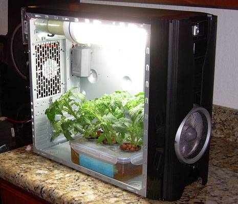 A-Simple-PC-Grow-Box-Build-Idea.jpg