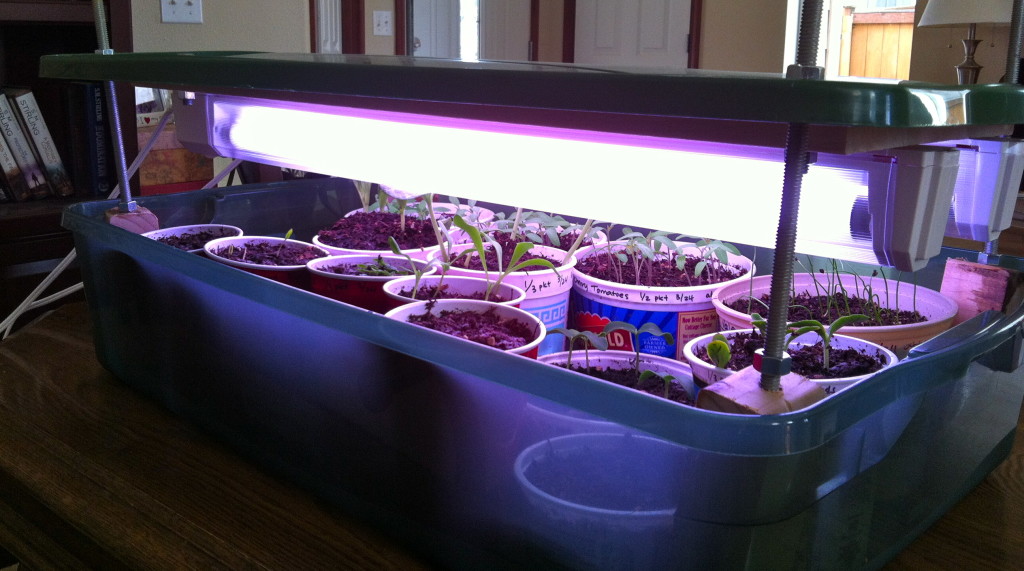 12 DIY Grow Boxes to Control the Growing Environment – Home And