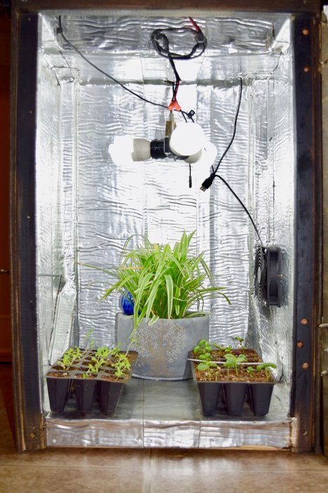 24 DIY Grow Boxes to Control the Growing Environment - Home And 