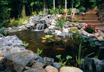 7 Ideas for Building a Koi Fish and Backyard Pond - Home ...