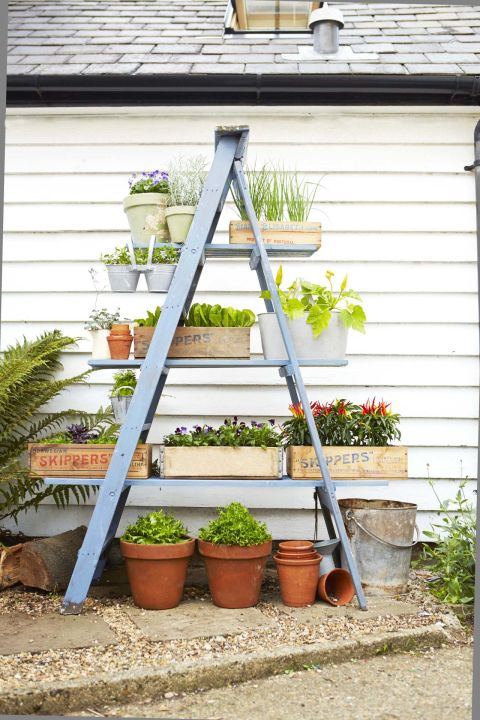 15 DIY Plant Stands You Can Make Yourself – Home and Gardening Ideas 