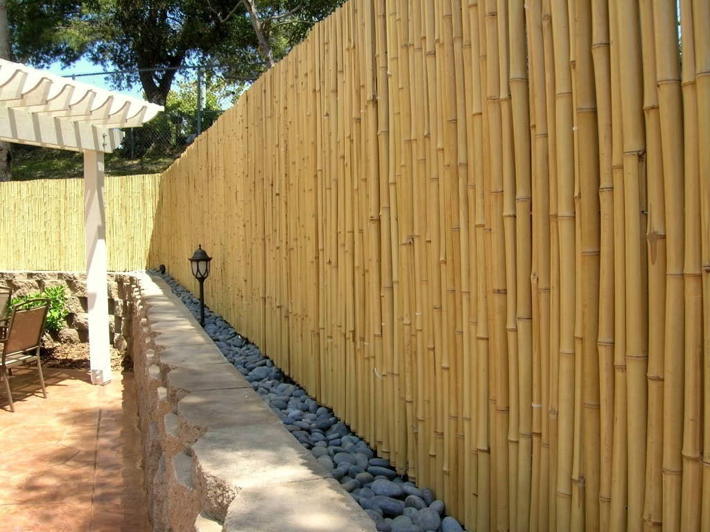 The Bamboo Fence
