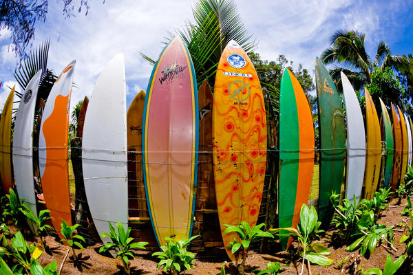 The Surfboard Fence