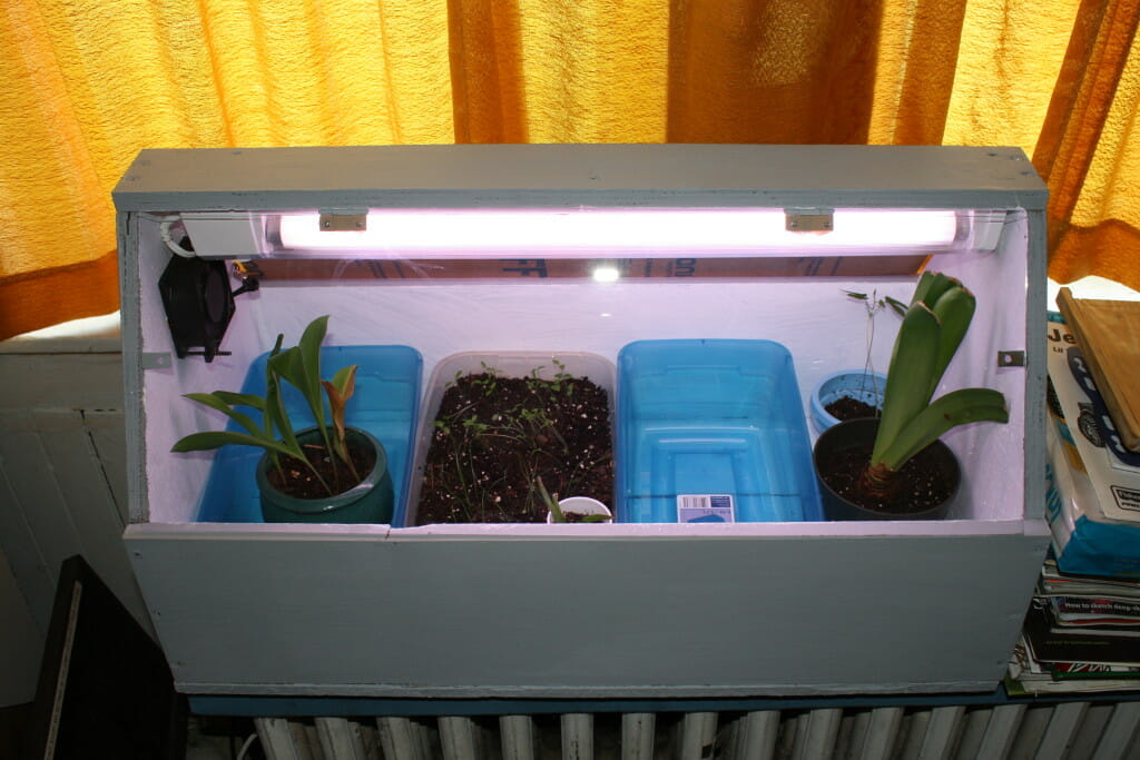 A simple and cheap grow box for finicky plants
