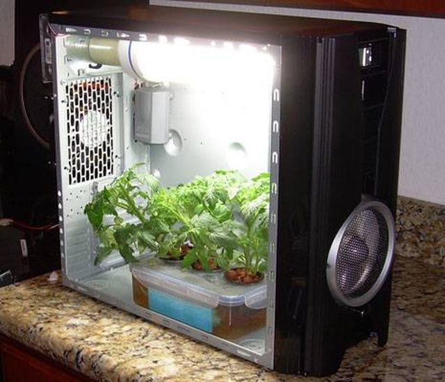 DIY Grow Box Made From Recycled Personal Computer
