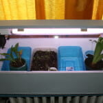 diy grow box