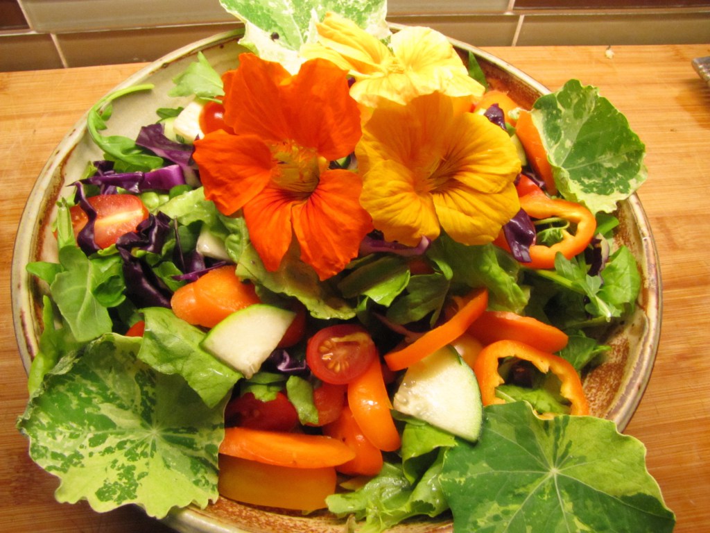 10 Edible Flowers You Can Add To Your Food Home And Gardening Ideas