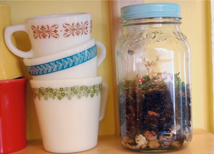 DIY Jar Terrarium