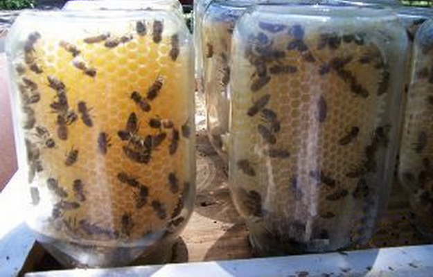 DIY Mason Jar For Beekeeping