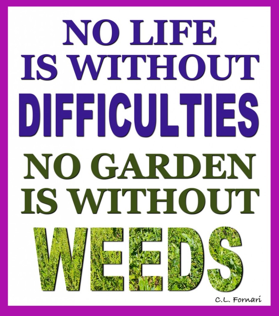 C.L. Fornari garden saying