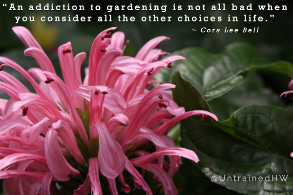 Cora Lee Bell garden quote