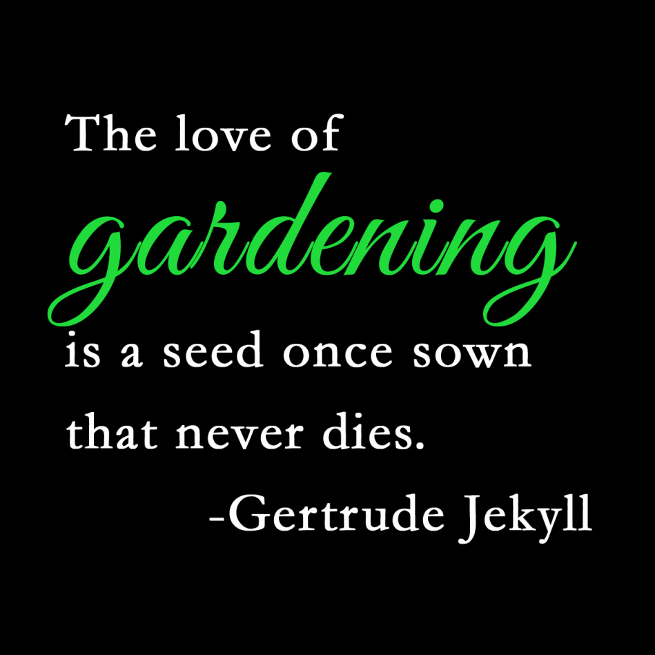 Gertrude Jekyll quote