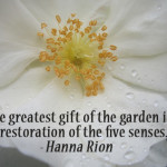 gardening quotes and saying