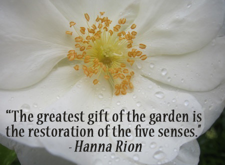 gardening quotes and saying