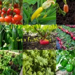 easiest vegetables to grow