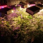 DIY LED Grow Lights