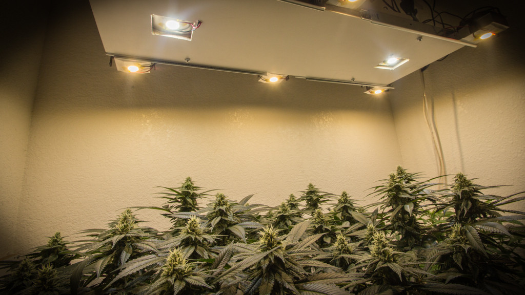 27 DIY Led Grow Lights For Growing Plants Indoors Home And Gardening