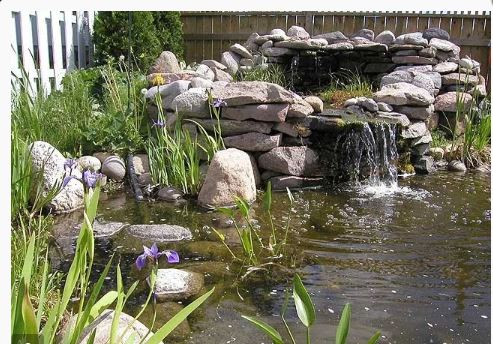 DIY Backyard Pond Idea