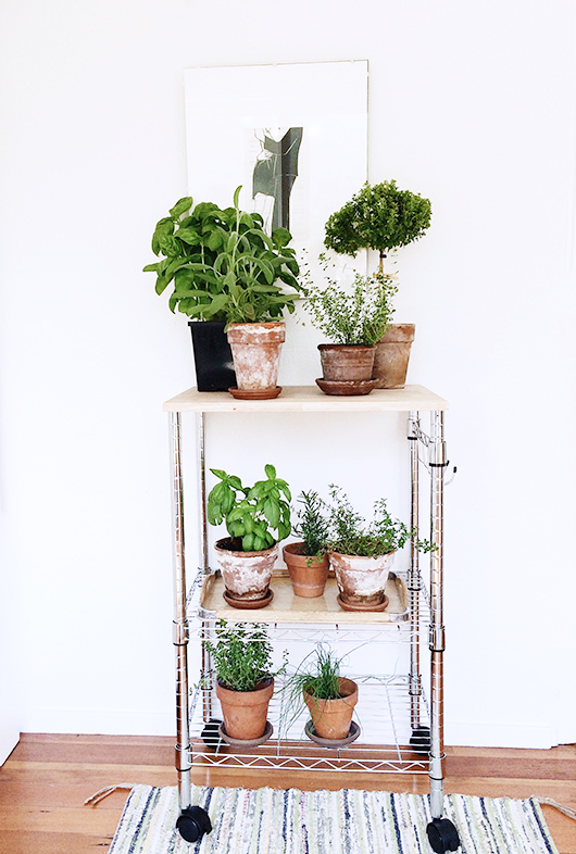 Upcycle Rolling Utility Cart Into DIY Plant Stand
