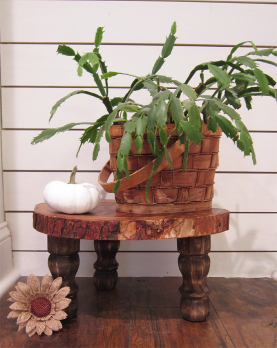 Wood Slice DIY Plant Stand