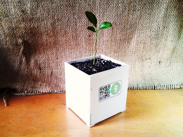 Smart DIY Plant Pot