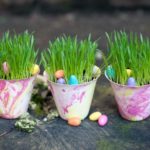 diy plant pots
