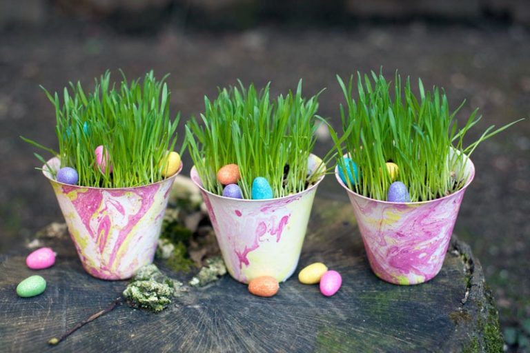 15 Lovey DIY Plant Pots You Can Make From Recycle Items