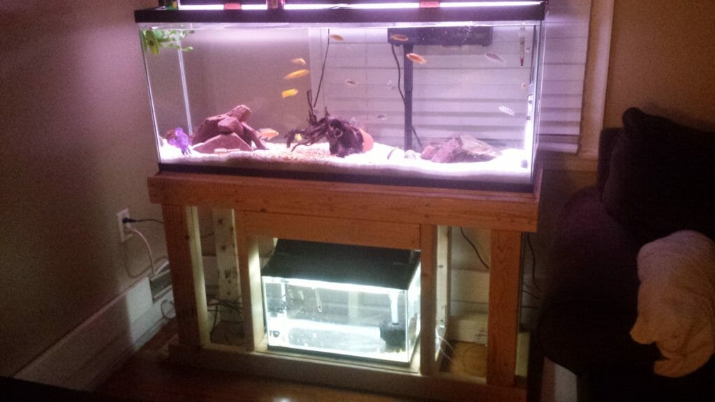 55 Gallon Fish Tank Stand