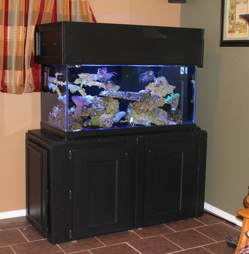 Aquarium Cabinet