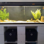 DIY Aquarium Stand