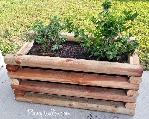 DIY Planter Box for Berries and Other Fruits