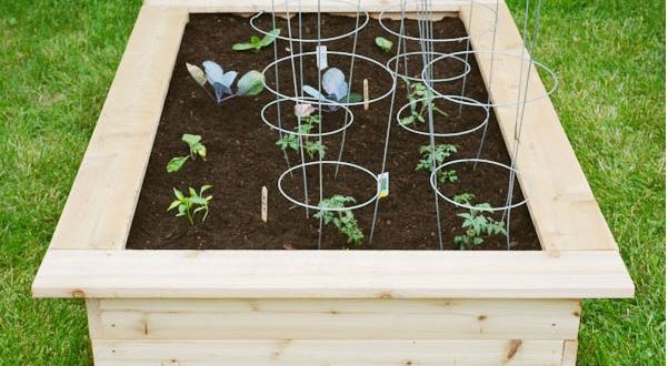 23 Diy Garden Box Plans And Ideas For, How To Build An Easy Garden Box