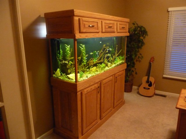 37 DIY Aquarium Stands For Various Sizes Of Fish Tanks - Oak StanD Canopy BuilD
