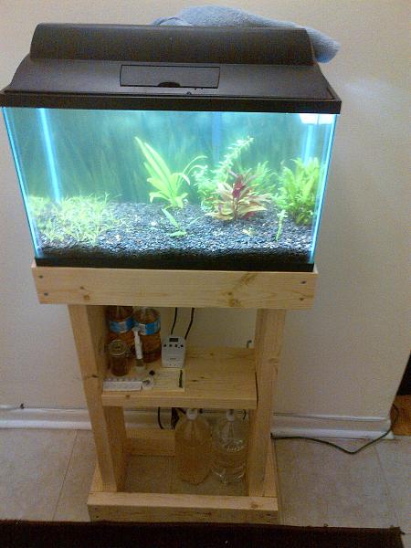 Simple DIY 10-Gallon Aquarium Stand