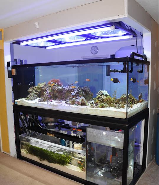 Wood or Steel DIY Aquarium Stand