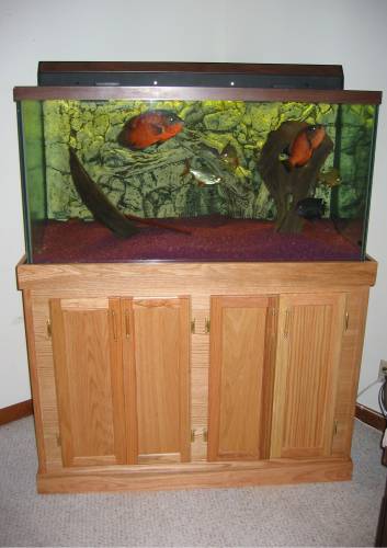 wooden diy aquarium stand