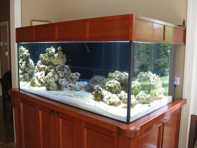 Workbench Aquarium Stand