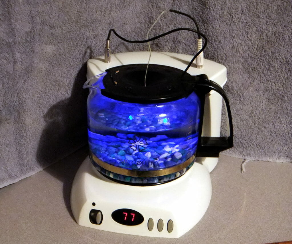 Coffee Pot Fish Tank