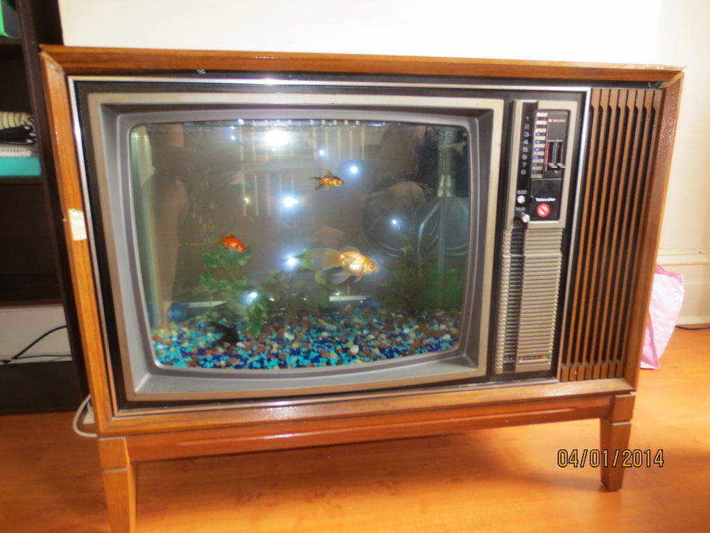 DIY aquarium