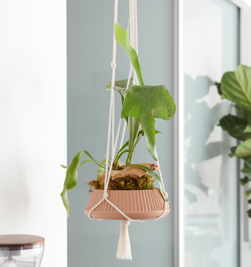 DIY macrame plant hanger idea