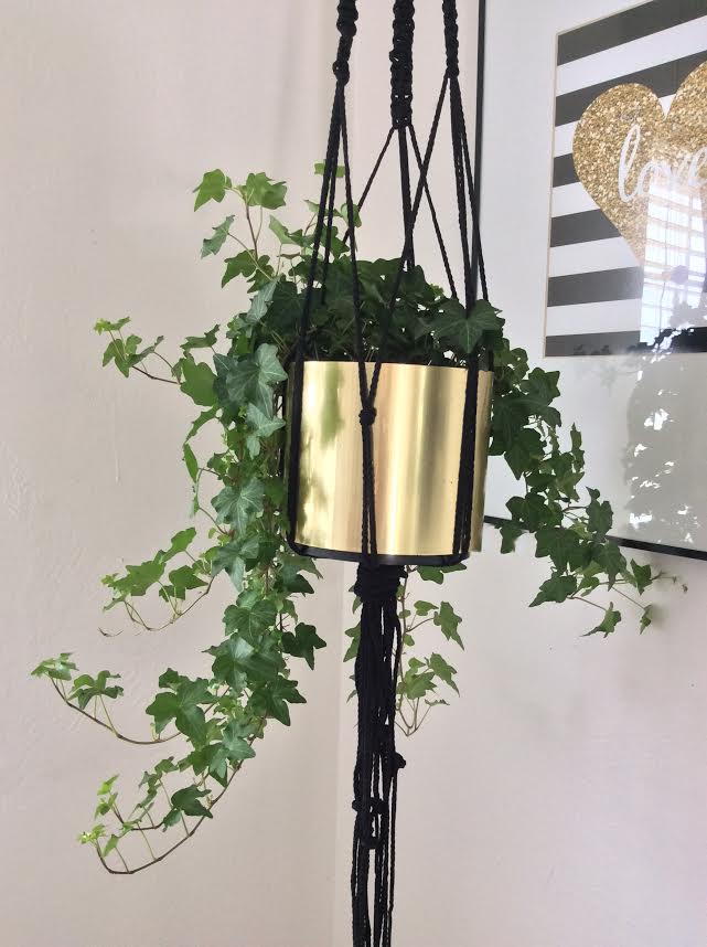 DIY macrame plant hanger