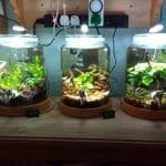 DIY Fish Tank Ideas