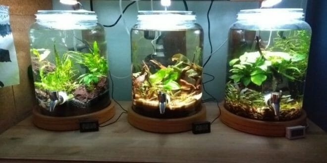 27 Cool Diy Fish Tank Ideas With Tutorials Home And Gardening - Diy Fish Tank Light