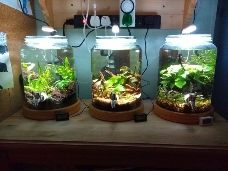 27 Cool DIY Fish Tank Ideas With Tutorials