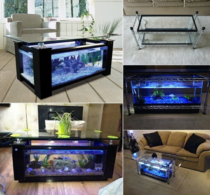 DIY Fish Tank Coffee Table