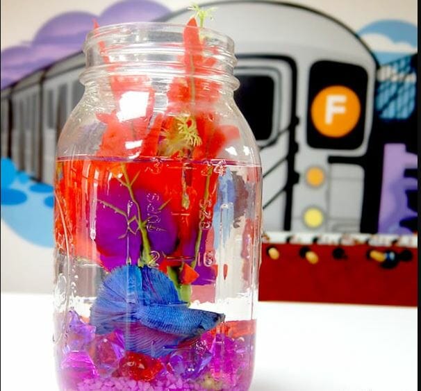 Mason Jar DIY Fish Tank