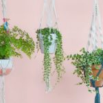 DIY Macrame Plant Hangers