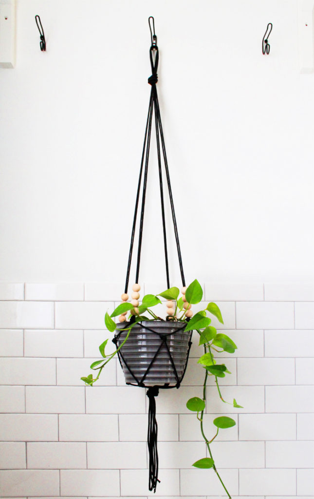 Wall Mounted Plant Hangers