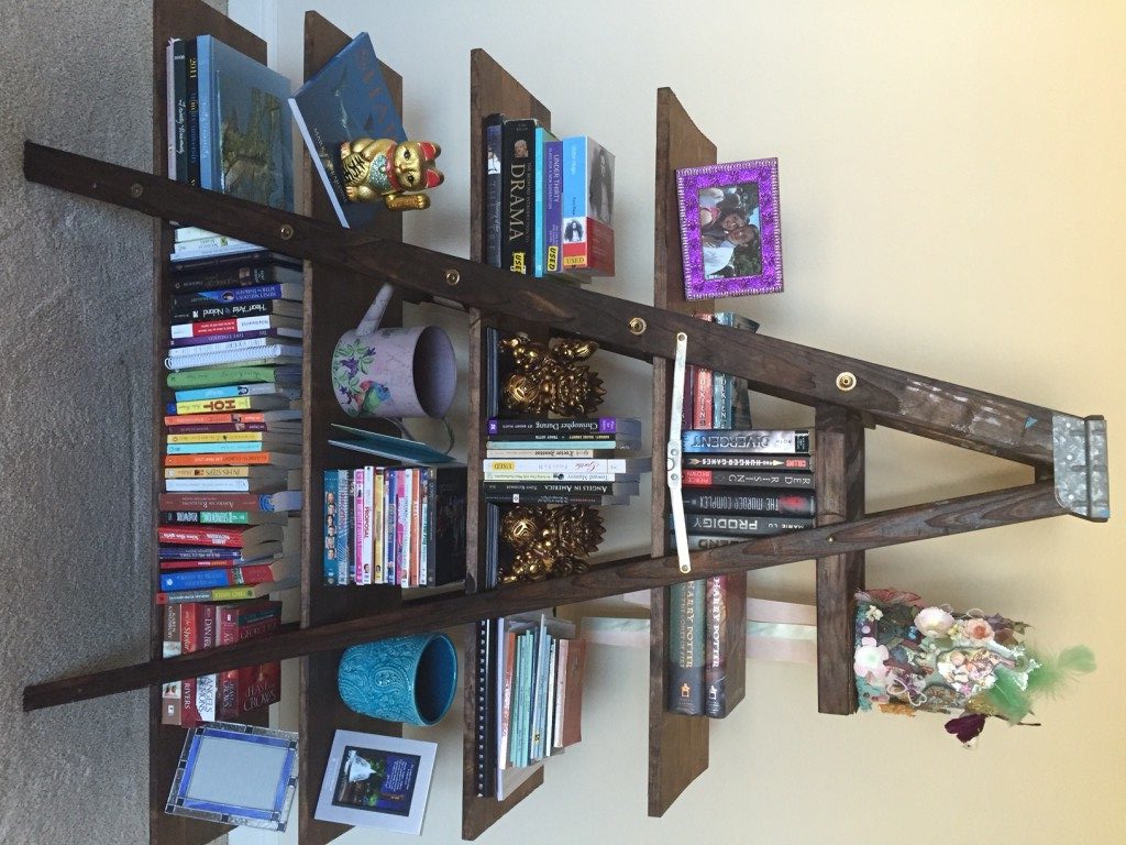Frame Ladder Bookshelf