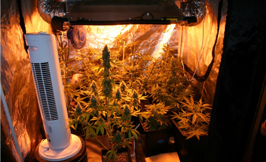 DIY grow tent